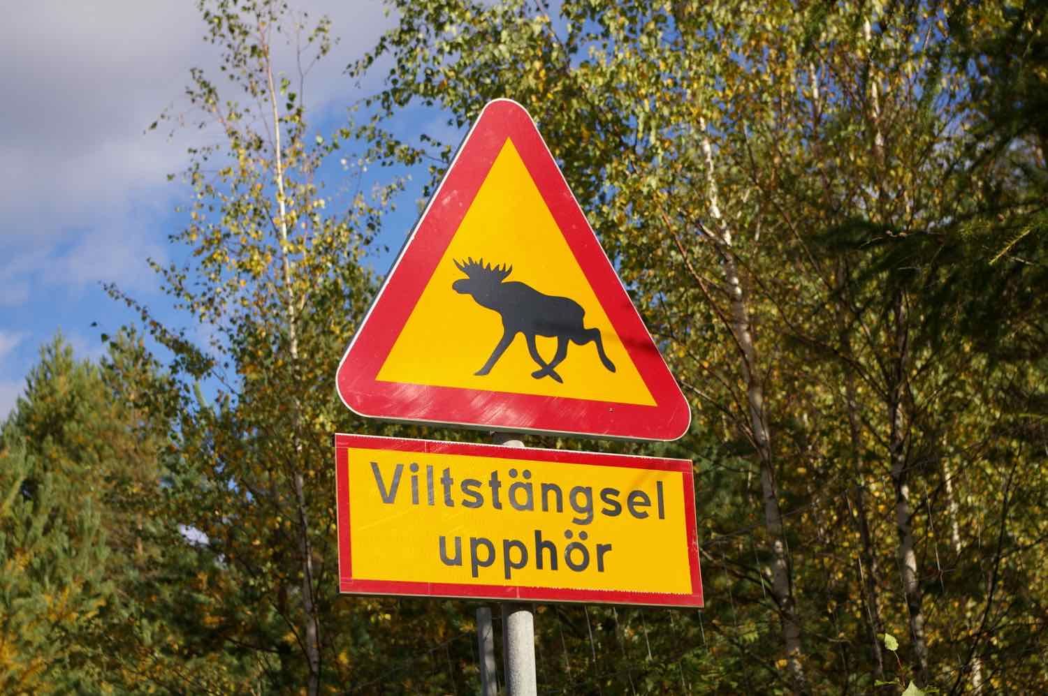 Du betrachtest gerade Tag 5 – Durch Småland gen Norden