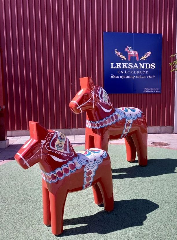 Mehr über den Artikel erfahren Tag 6 – Ins Darlanas Län zum Siljansee