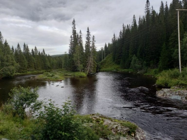 Mehr über den Artikel erfahren Tag 46 – Tschüß Norwegen 🇧🇻, Hallo Schweden 🇸🇪