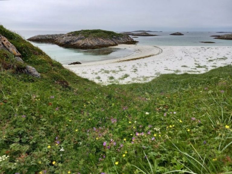 Mehr über den Artikel erfahren Tag 37 – Vesterålen mit Sandstränden im Nebel