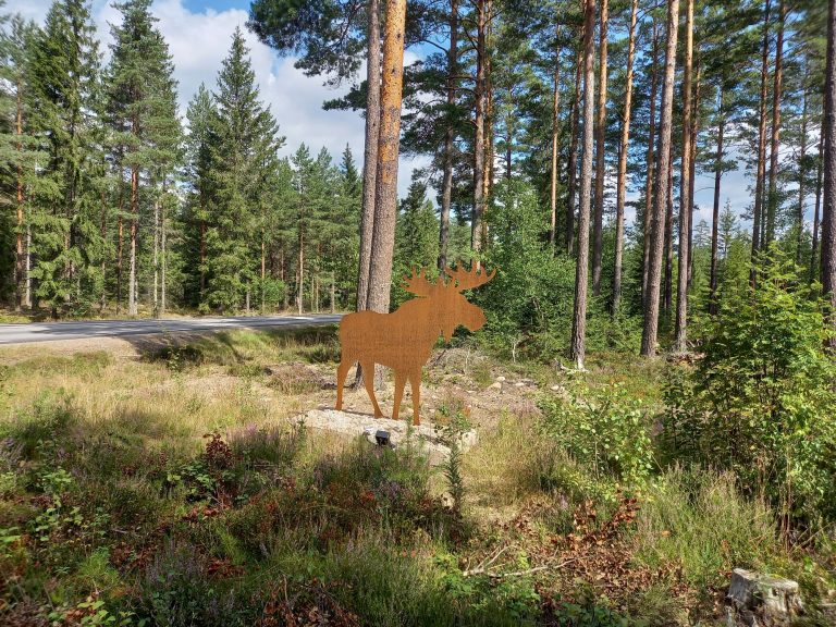 Mehr über den Artikel erfahren Tag 54 – Unser letzter Tag in Schweden 🇸🇪