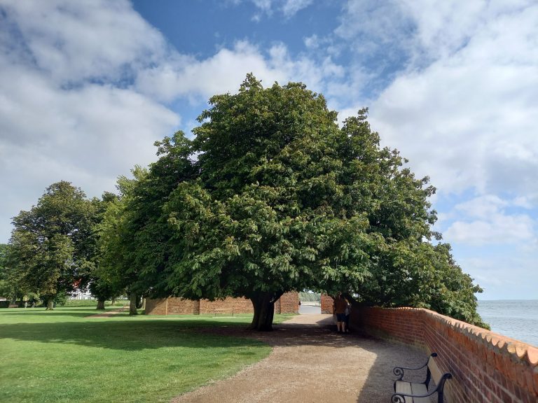 Mehr über den Artikel erfahren Tag 57 – Noch ein bisschen Dänemark 🇩🇰