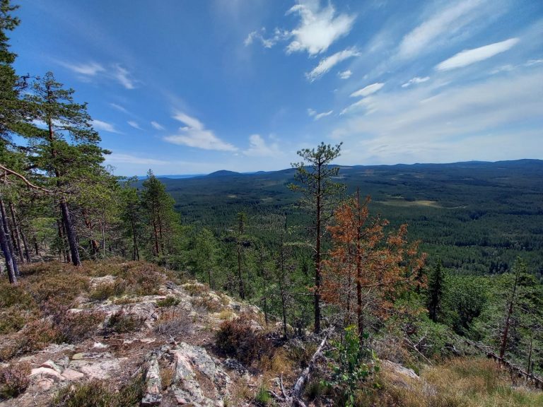 Mehr über den Artikel erfahren Tag 49 – Wanderung zum Leksberget