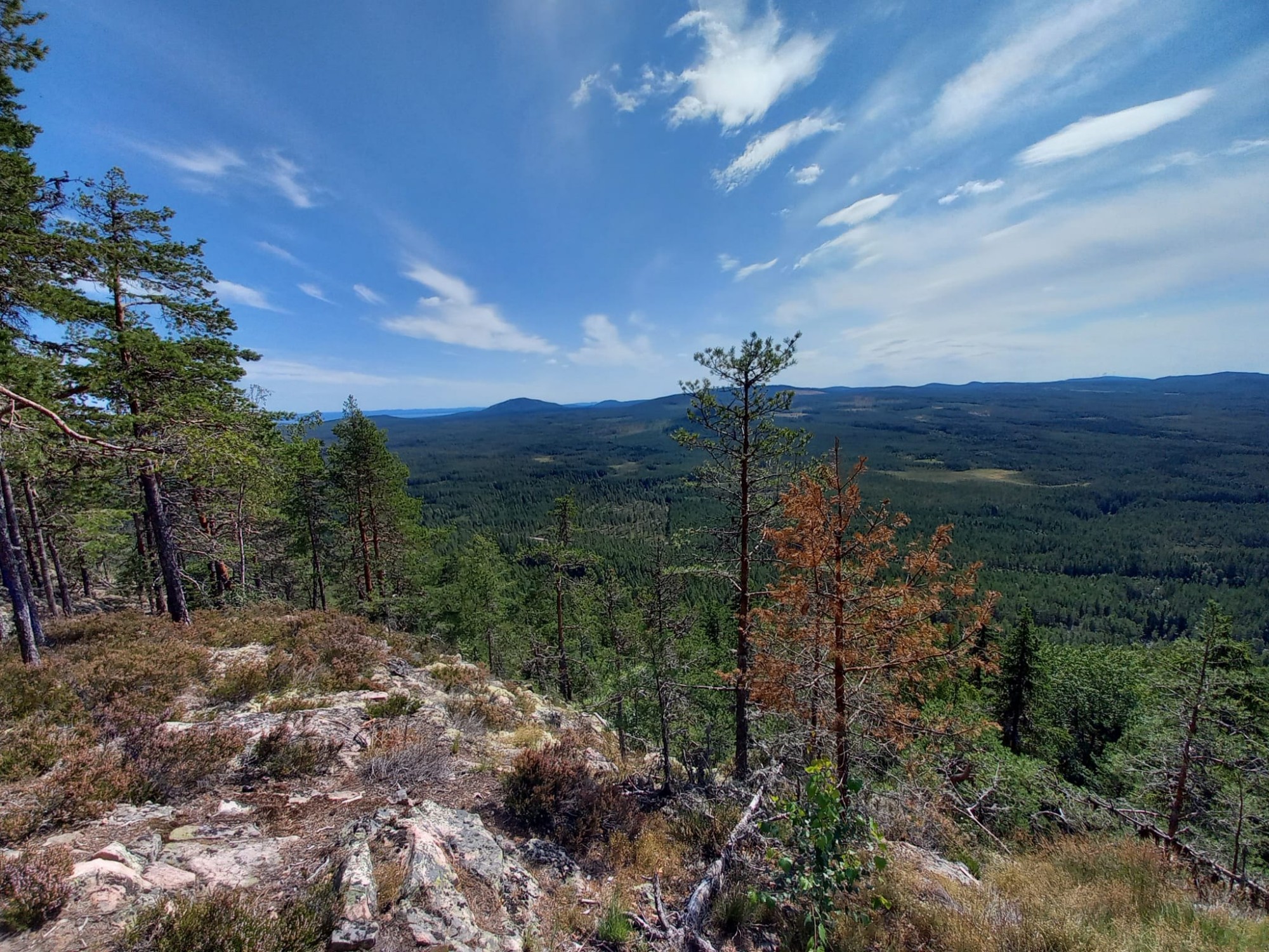 Du betrachtest gerade Tag 49 – Wanderung zum Leksberget